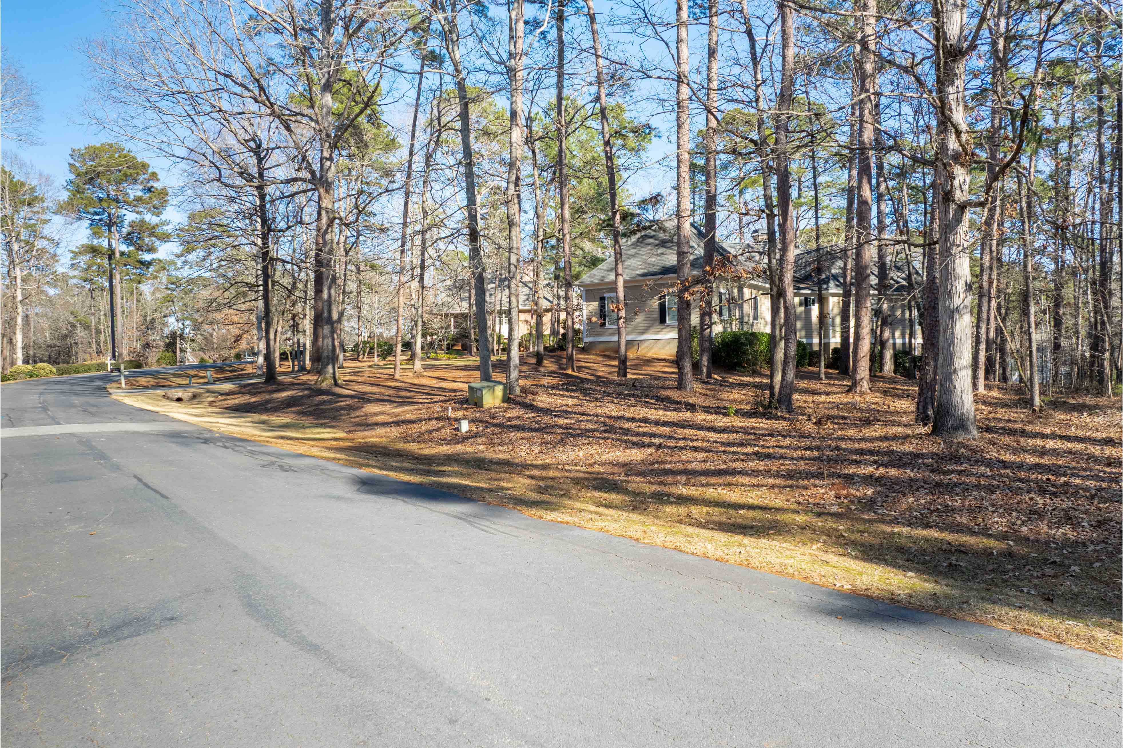 1180 Planter's Trail image 4